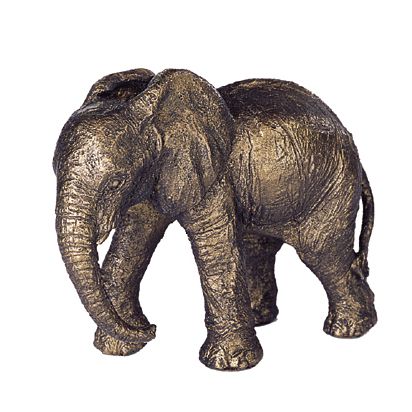 Baby (calf) African Elephant