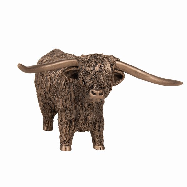 Highland Bull - Standing