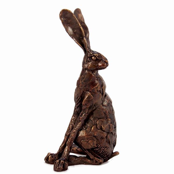 Sitting Hare looking back