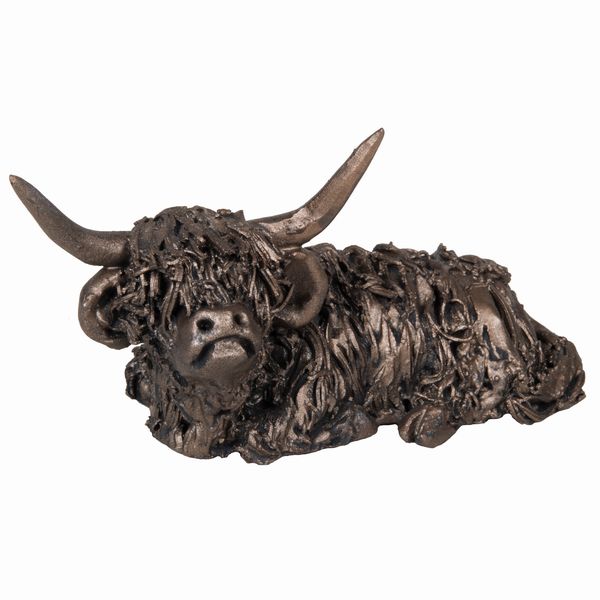 Dougal - Sitting Highland Bull