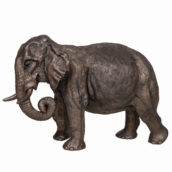 Raja - Indian Elephant