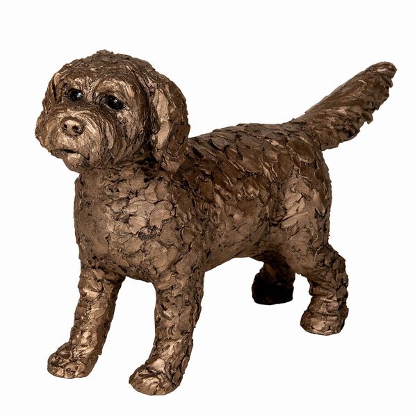 Sparky - Standing Cockapoo