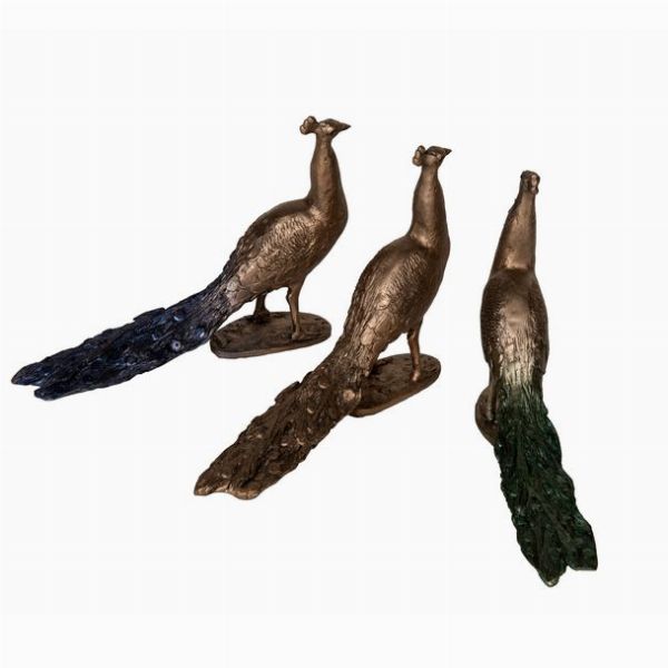 Peacock - SPECIAL OFFER