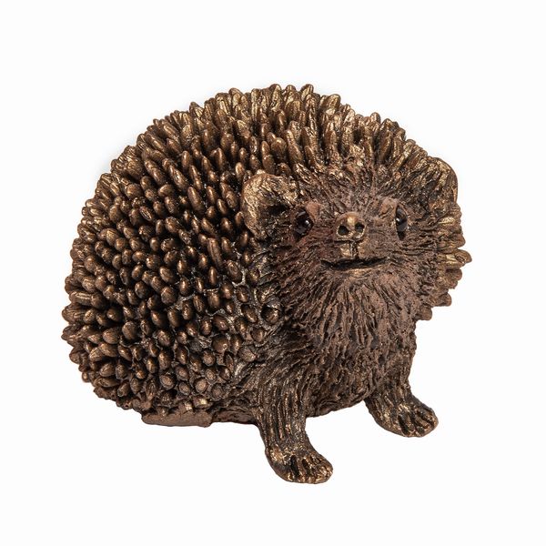 SweetPea - Hedgehog