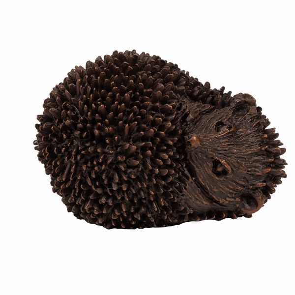 Curled Up Hedgehog