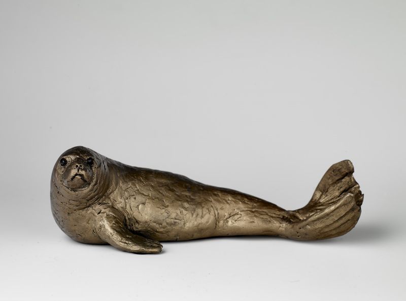 Seal Large